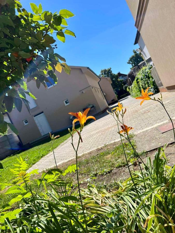 Zsuzsa Apartman